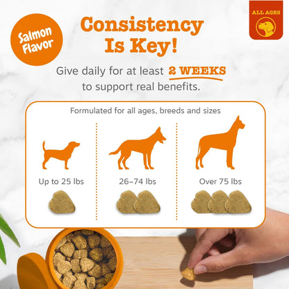 Dog Allergy Chews - Dog Allergy Relief, Peanut Butter