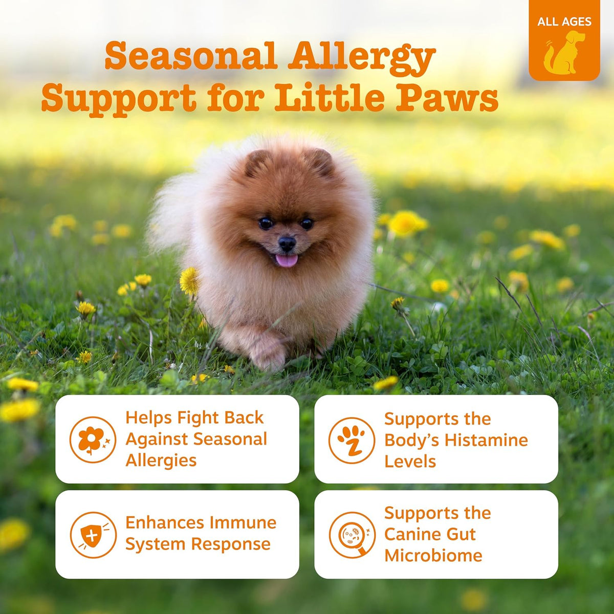 Dog Allergy Chews - Dog Allergy Relief, Peanut Butter