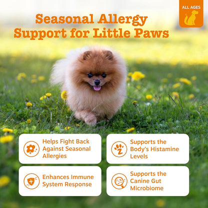 Dog Allergy Chews - Dog Allergy Relief, Peanut Butter