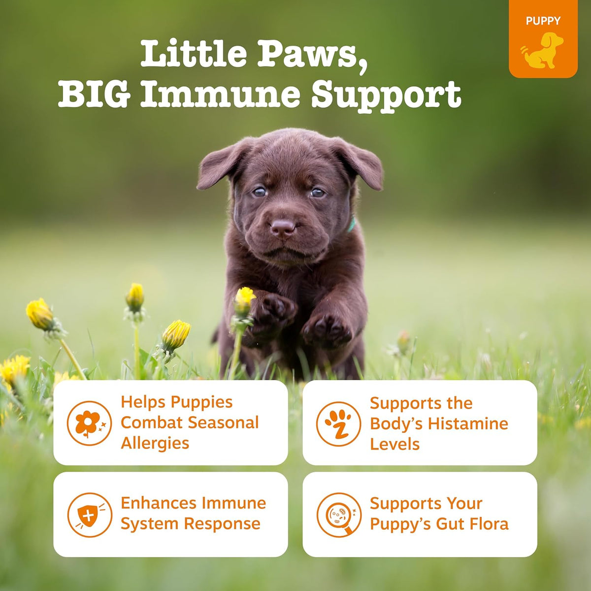 Dog Allergy Chews - Dog Allergy Relief, Peanut Butter