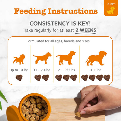 Dog Allergy Chews - Dog Allergy Relief, Peanut Butter