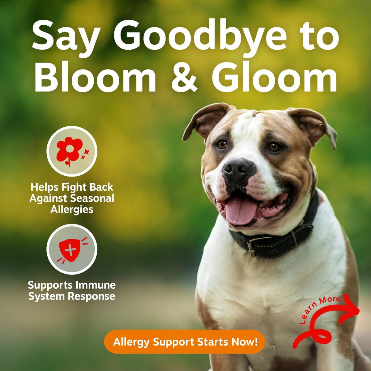 Dog Allergy Chews - Dog Allergy Relief, Peanut Butter