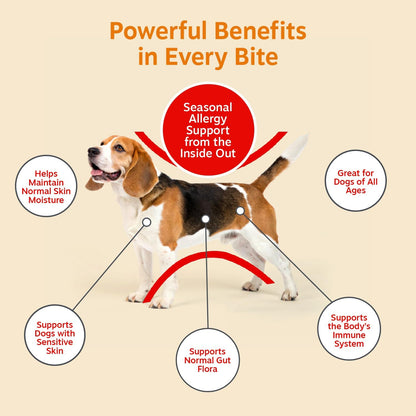 Dog Allergy Chews - Dog Allergy Relief, Peanut Butter