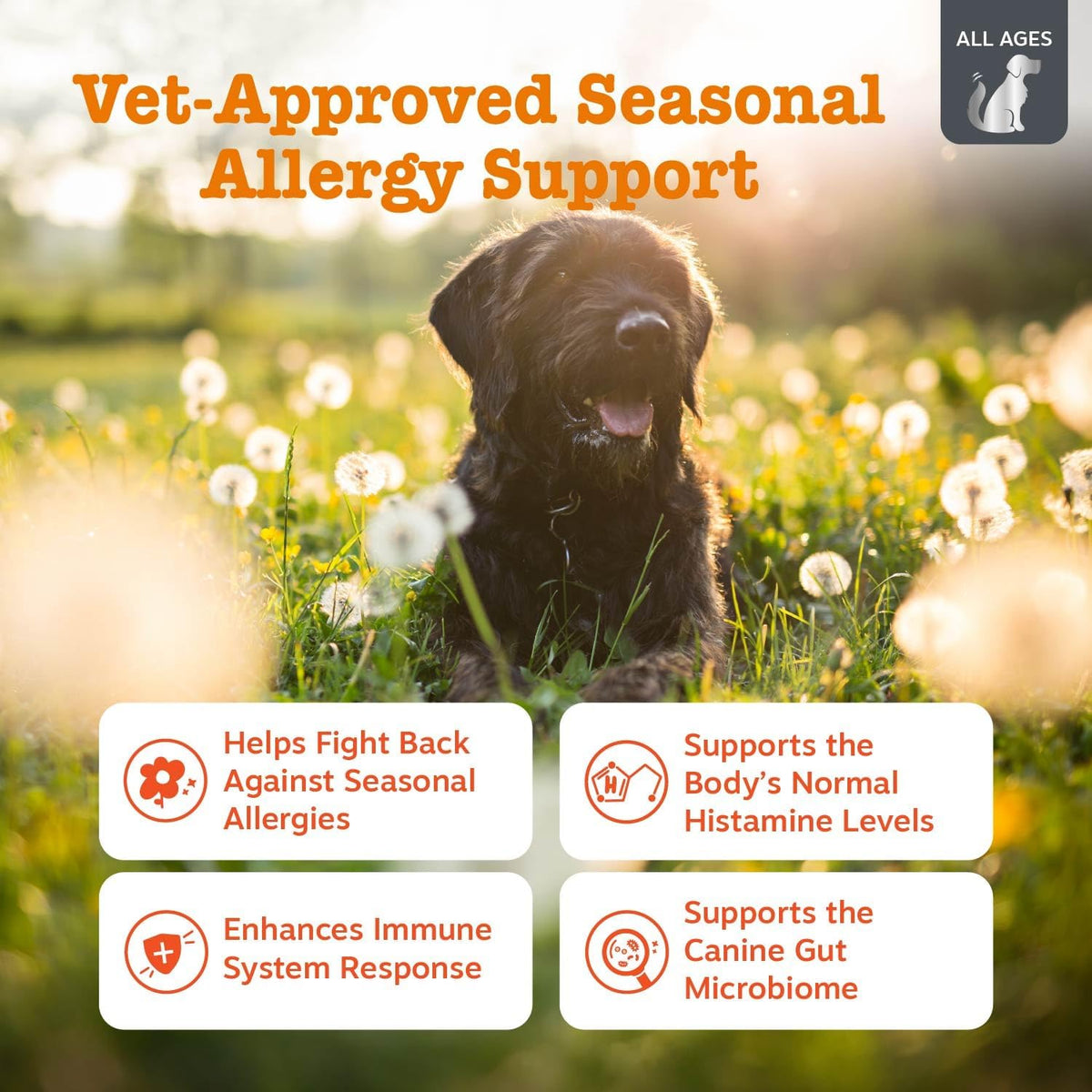 Dog Allergy Chews - Dog Allergy Relief, Peanut Butter