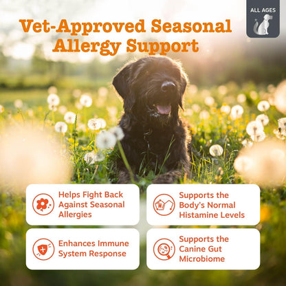Dog Allergy Chews - Dog Allergy Relief, Peanut Butter