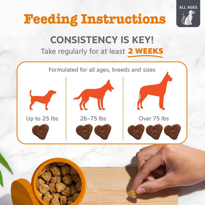 Dog Allergy Chews - Dog Allergy Relief, Peanut Butter