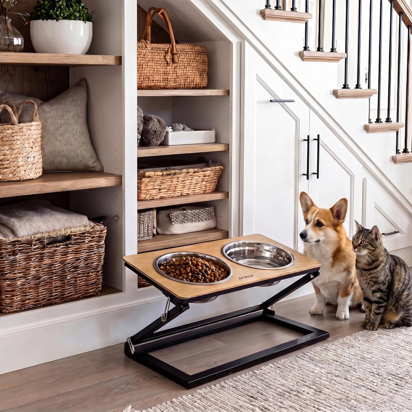 Elevated Dog Bowls, Adjustable Raised Dog Bowl Stand with 2 Stainless Steel Food Bowls 20°Tilted Water Bowls for Medium Small Sized Dogs (Black, Medium)