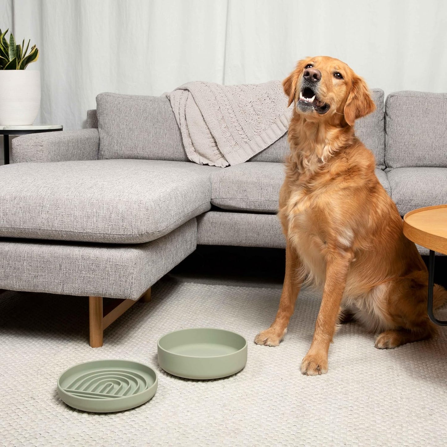 Should We Go? Dog Water Bowl - The Perfect Dish No-Spill, Less Mess Non-Tippable Water & Food Bowl, Pure Silicone with Suction Cup Fits 5 Cups 7.5" Across x 2.25" Tall, Ideal for All Pets, Medium-Sage