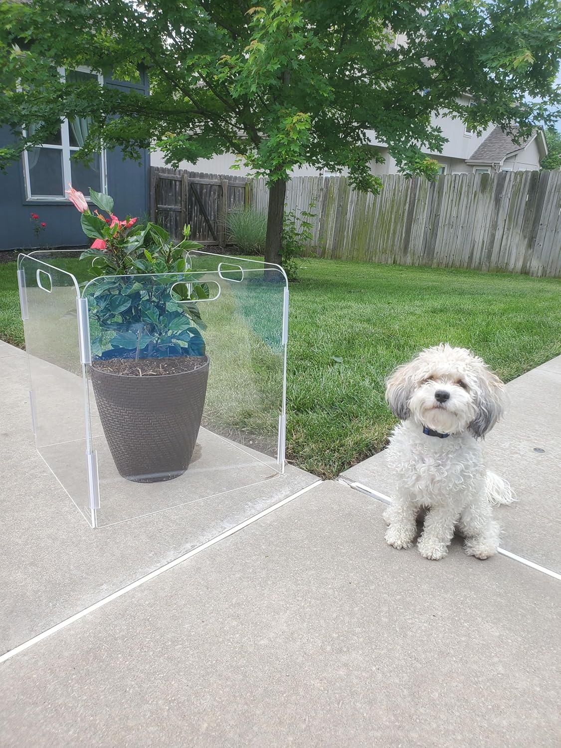 Pet Barrier (3-Panel) | Free-Standing Pet Gate | Foldable | Protect Your Indoor Living Spaces, Decorations, and Important Items from Pets | Made in The USA