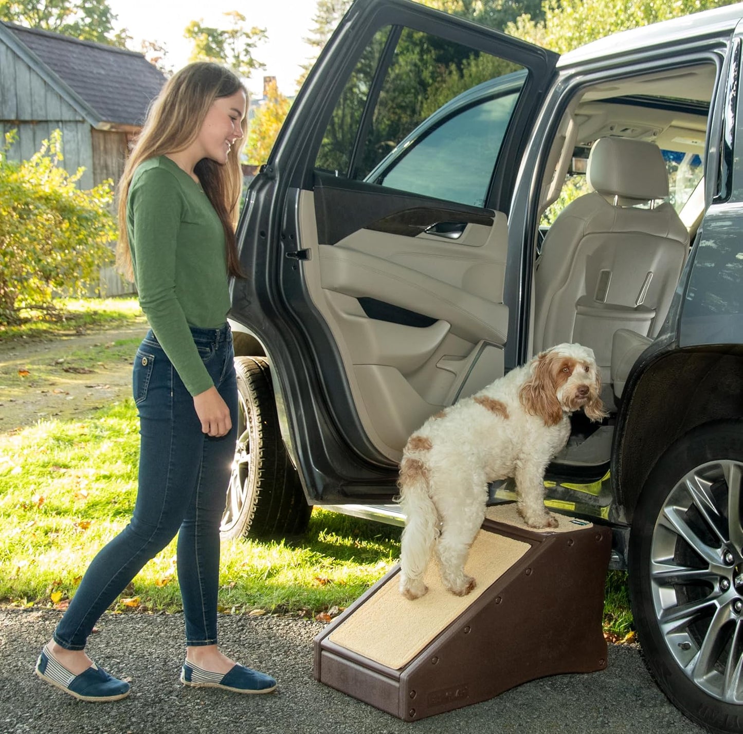 Pet Gear Stramp Stair and Ramp Combination for Dogs/Cats, Easy Step, Lightweight/Portable, Sturdy, Easy Assembly (No Tools Required) 1 Model, Coffee Bean