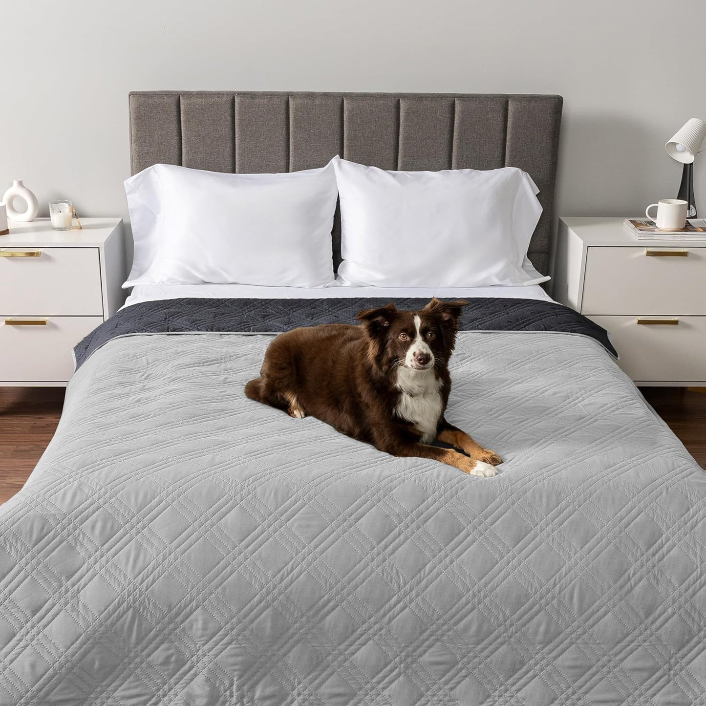 PetAmi Waterproof Couch Cover for Dogs, Reversible Furniture Cover Sofa Protector for Pet Cat Bed, Washable Blanket Dog Cover for Couch Seat, 52x82 Gray