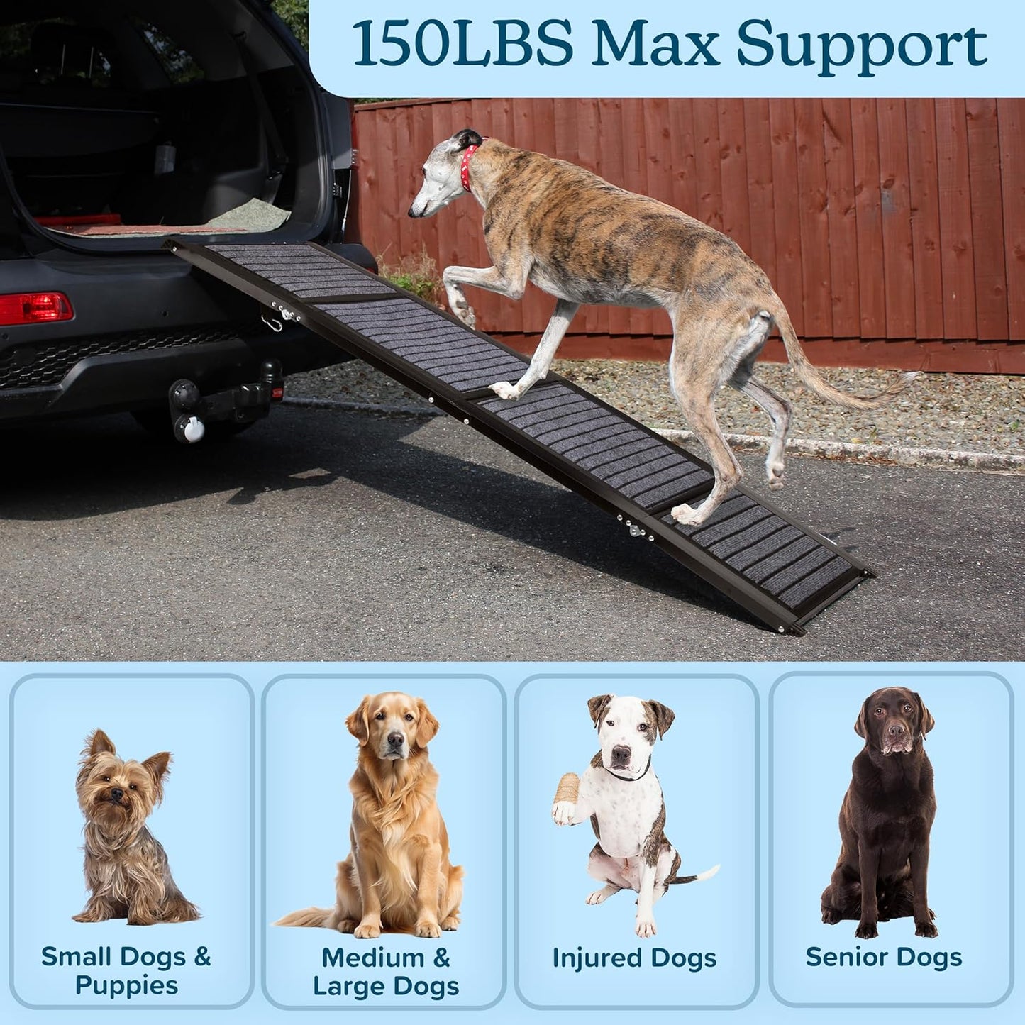 Dog Ramp - 62” x 17.5” Folding Dog Ramp for Car, Truck, SUV, or RV - Portable Ramps for Large Pets with Non-Slip Rug Surface - Pet Travel Accessories by PETMAKER (Black)