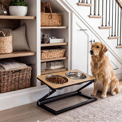 Elevated Dog Bowls, Adjustable Raised Dog Bowl Stand with 2 Stainless Steel Food Bowls 20°Tilted Water Bowls for Medium Small Sized Dogs (Black, Medium)