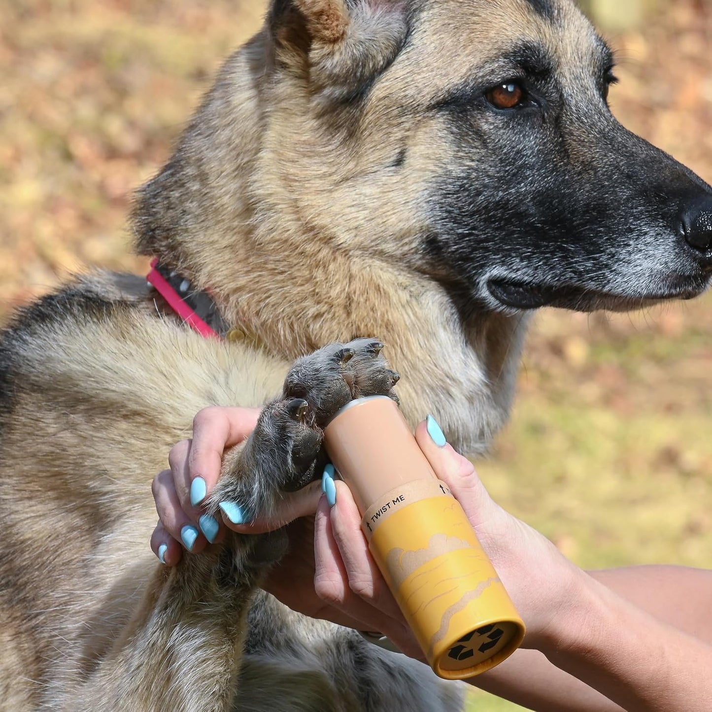 Rhino Wax - Dog Paw Protector for Hot Pavement - Use Street Wax Before Taking Dogs on Asphalt - Balm Protects from Warm Surfaces Rocks Road Debris - Great for Dogs who Hate Dog Shoes for Hot Pavement