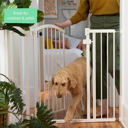 Ingenuity Extra Tall & Wide Safety Pet and Baby Gate, 29.5"-53" Wide, 38" Tall, Pressure or Hardware Mounted, Install on Wall or Banister in Doorway or Stairway, Auto Close Walk-Thru Door - White