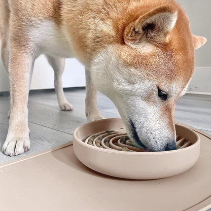 Should We Go? Slow Feeder for Dogs & Puppies, The Slowdown Bowl Silicone Slow Eating, Modern Lick Mat Design, Reduces Gulping, Fits 2 Cups, 7.5” Across x 1.5” Tall, Mealtime Challenge, Medium-Blush