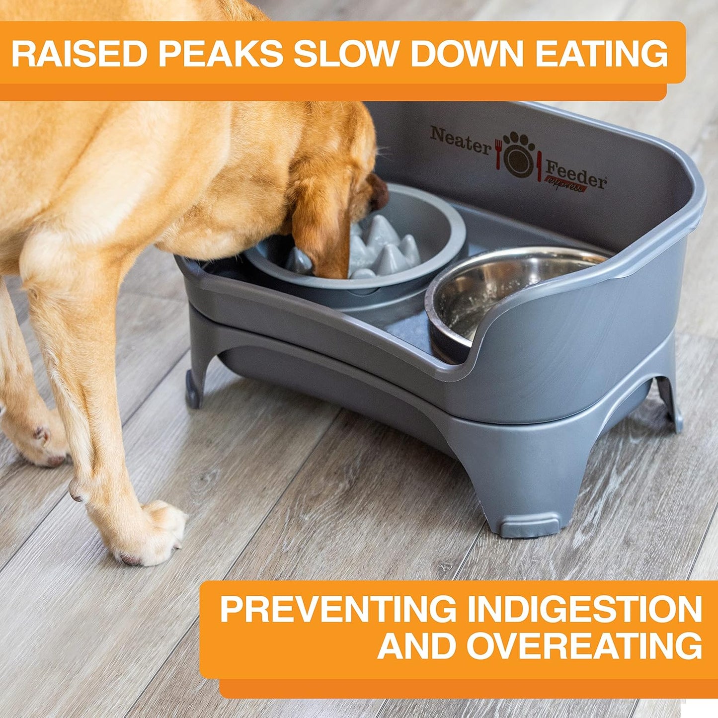 Neater Feeder Express Mess Proof Dog Bowls Elevated for Small Breeds under 15 Lb, Made in USA, No Spill Raised Dog Food Bowl Stand, Stainless Steel Food and Water Bowl Set, Feeding Station, Cappuccino