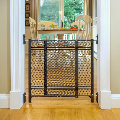 Ingenuity Doorway 42W Series Dog and Baby Gate, Indoor Outdoor, Won't Rust or Fade, Plastic Panel, Fits 23-42" Openings, 24” Tall