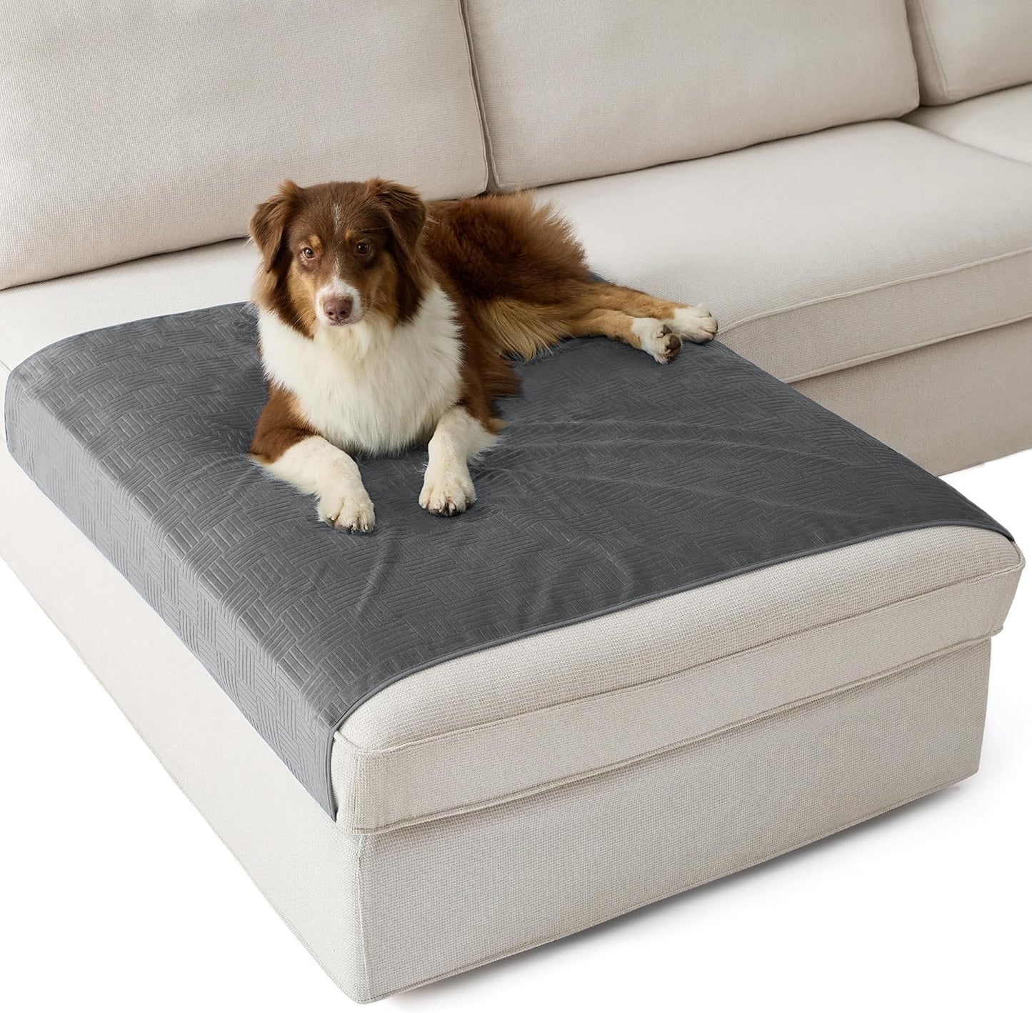 Bedsure Waterproof Couch Cover for Dogs Washable - Waterproof Blanket for Large Dogs Couch Sofa Bed Cozy, Lightweight Furniture Protector for Pet Cat Quick Drying, Ash Grey, 52x82IN