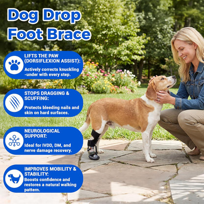 Drop Foot Brace & No Knuckling Boot Brace for Dogs, Adjustable Toe Grips for Senior Dogs Stop Dragging, Dog Recovery Boot for Injured Paw, Dog Splint for IVDD, Arthritis, Senior Mobility(M)