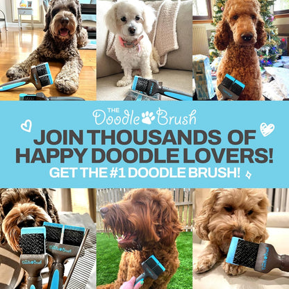 Slicker Brush for Dogs Detangler, Poodle Pin Dematting Dog Hair Brushes, Extra Long Pin Slicker for Goldendoodle, Cockapoo, Cavapoo, Tangle-Free Grooming Shiny Coat Pet Brushes