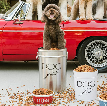 Harry Barker Bon Chien Dog Food Storage Canister – Large 11 gallon, Airtight Stainless Steel Pet Food Container, Stylish Kitchen Counter Dog Kibble Storage with Easy-Open Lid - White