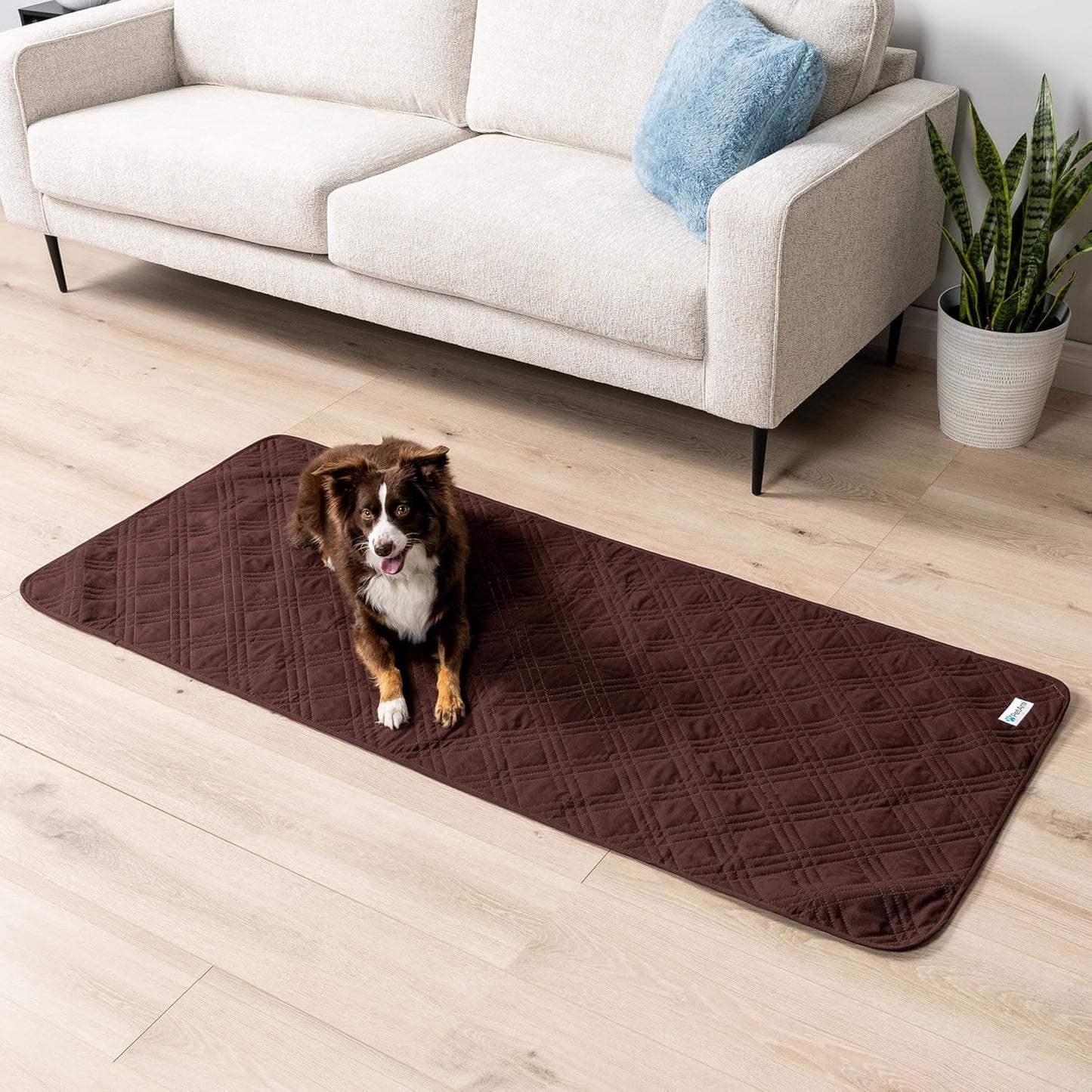 PetAmi Waterproof Couch Cover for Dogs, Reversible Furniture Cover Sofa Protector for Pet Cat Bed, Washable Blanket Dog Cover for Couch Seat, 52x82 Gray