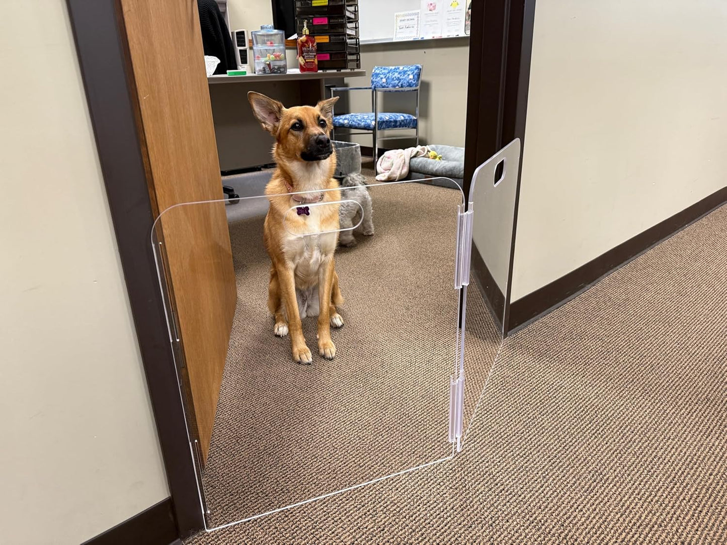Pet Barrier (3-Panel) | Free-Standing Pet Gate | Foldable | Protect Your Indoor Living Spaces, Decorations, and Important Items from Pets | Made in The USA