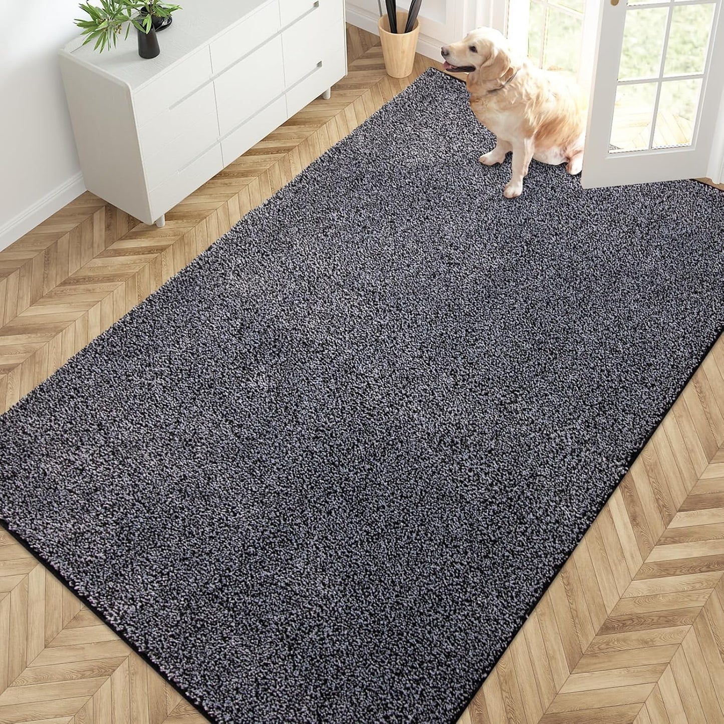 PURRUGS Dirt Trapping Door Mat 20" x 31.5", Non-Slip Machine Washable Entryway Rug, Dog Doormat, Indoor Front Door Mat, Super Absorbent Entry Rug for Muddy Shoes & Paws, Bluish Grey-Black