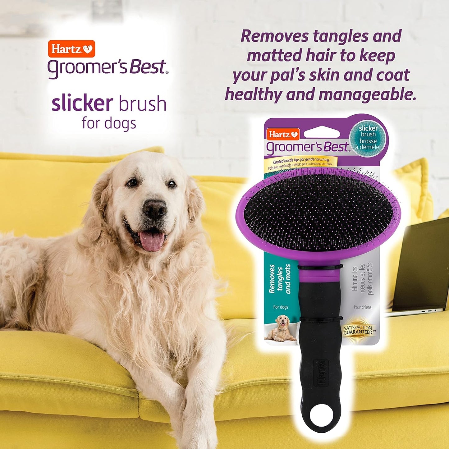 Hartz Groomer's Best Small Slicker Brush for Cats and Small Dogs, Black/Violet, 1 Count