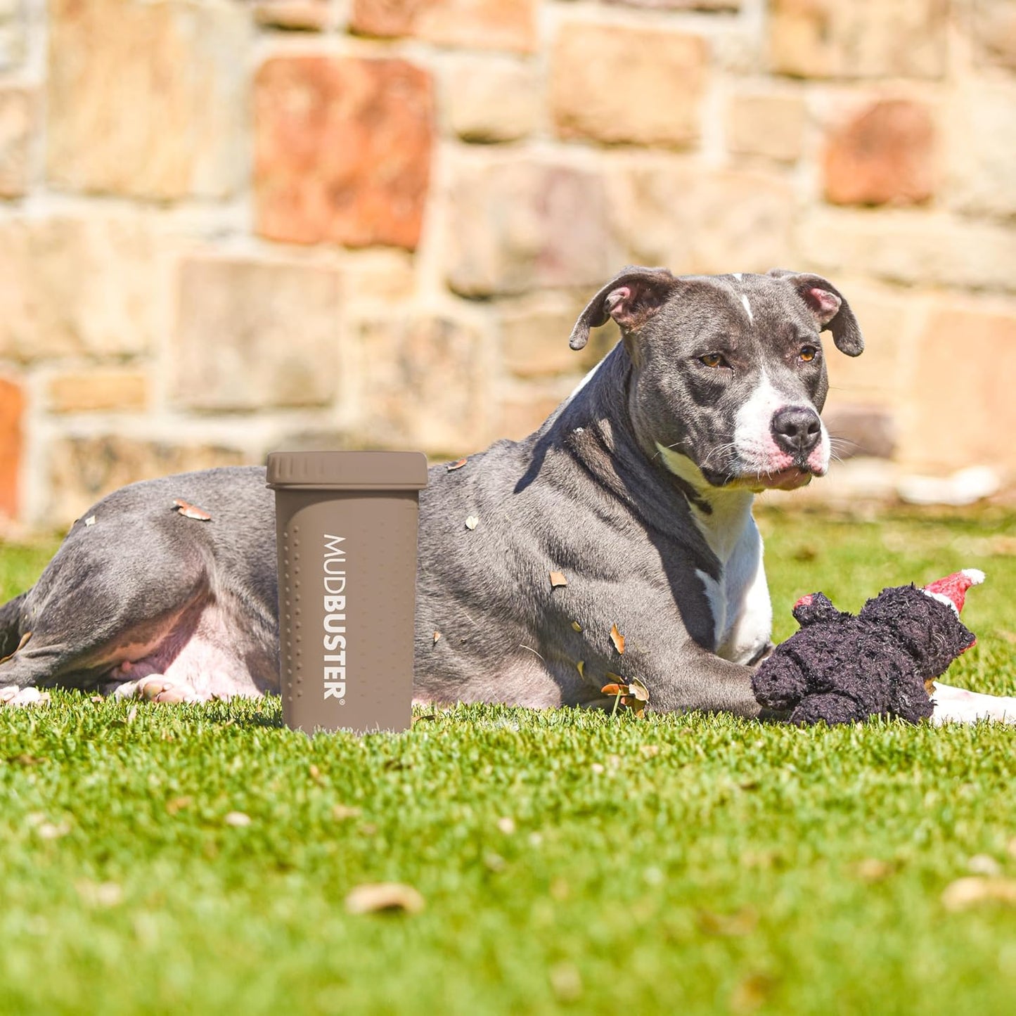 Dexas MudBuster Medium Dog Paw Cleaner in Fuchsia - Fits 1.5"-2.5" Wide Paws, Portable Paw Washer for Muddy Paws, Dog Paw Cleaning Cup with Gentle Silicone Bristles, Quick Clean Pet Paw Washer