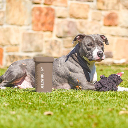 Dexas MudBuster Medium Dog Paw Cleaner in Fuchsia - Fits 1.5"-2.5" Wide Paws, Portable Paw Washer for Muddy Paws, Dog Paw Cleaning Cup with Gentle Silicone Bristles, Quick Clean Pet Paw Washer