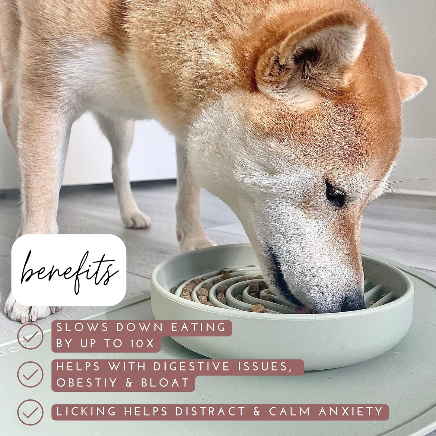Should We Go? Slow Feeder for Dogs & Puppies, The Slowdown Bowl Silicone Slow Eating, Modern Lick Mat Design, Reduces Gulping, Fits 2 Cups, 7.5” Across x 1.5” Tall, Mealtime Challenge, Medium-Blush