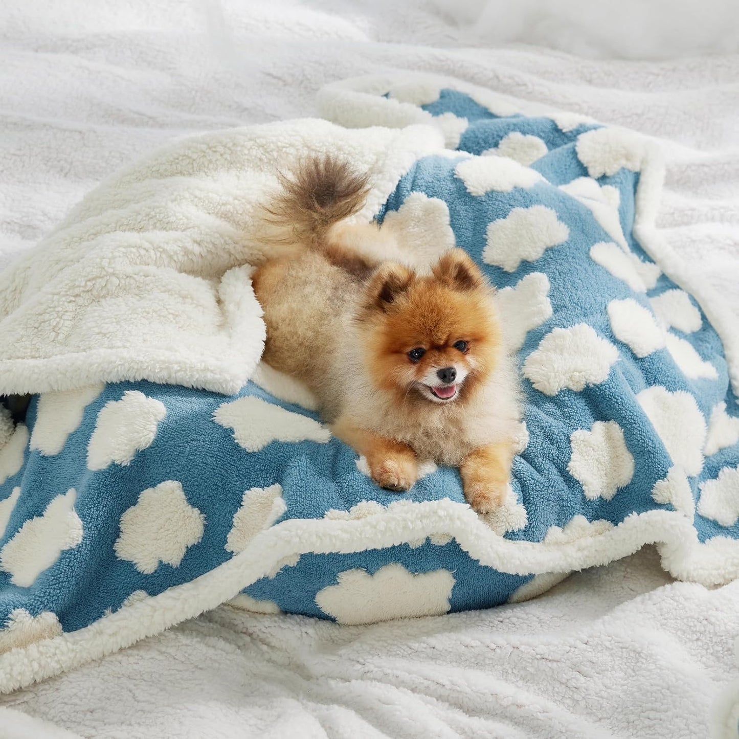 LE SURE Waterproof Dog Blanket for Large Dogs - Washable Double Sided Dog Blankets with Warm Jacquard Shag and Soft Sherpa Fleece, Pet Cat Blanket for Couch Protection, 3D Textured Cloud, Green