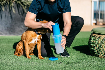 Dexas MudBuster Medium Dog Paw Cleaner in Fuchsia - Fits 1.5"-2.5" Wide Paws, Portable Paw Washer for Muddy Paws, Dog Paw Cleaning Cup with Gentle Silicone Bristles, Quick Clean Pet Paw Washer
