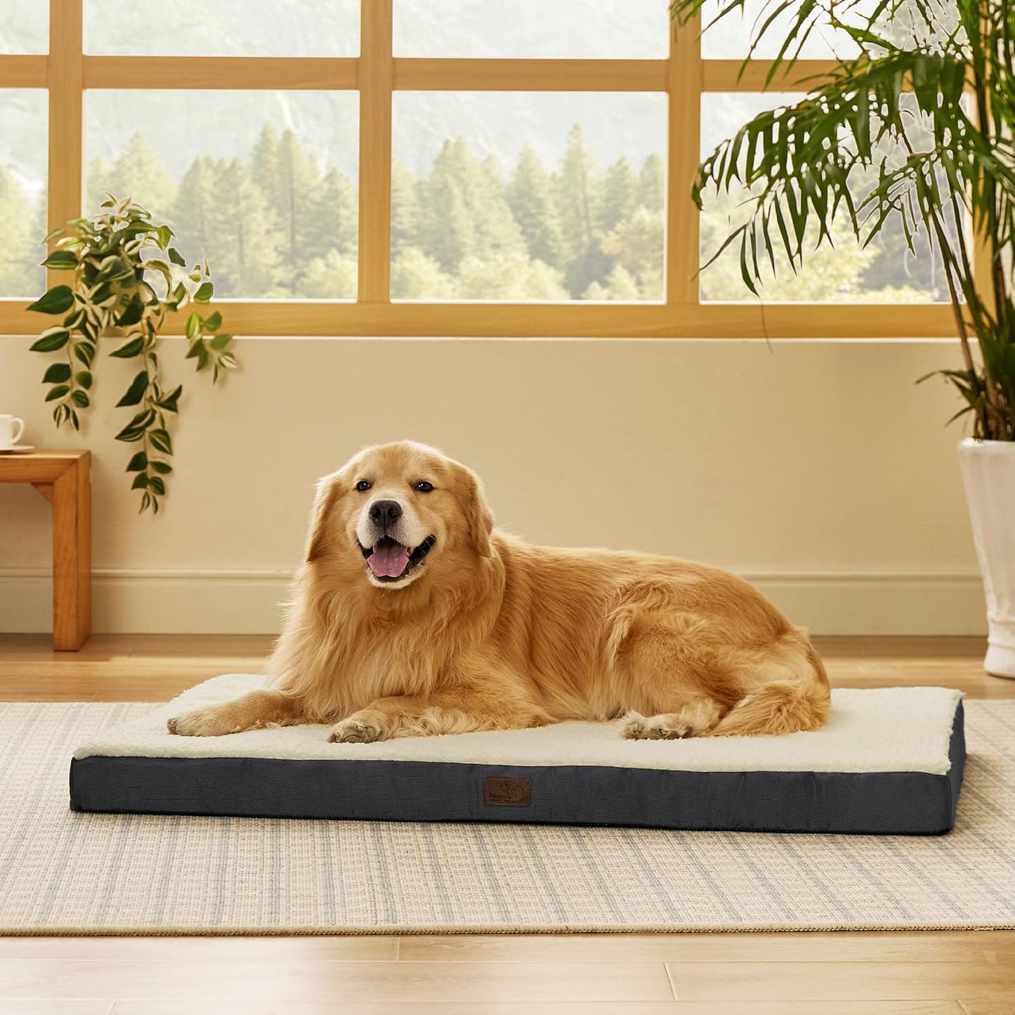 Bedsure Dog Beds Large Sized Dog - Comfy Flat Pet Beds with Removable Washable Cover, Orthopedic Egg Crate Foam Puppy Mat, Suitable for Pet Up to 65 lbs