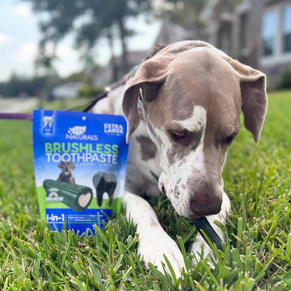 Ark Naturals Soft Brushless Toothpaste, Dog Dental Chews for Small Breeds, Freshens Breath, Unique Texture Helps Reduce Plaque & Tartar, 12oz, 1 Pack