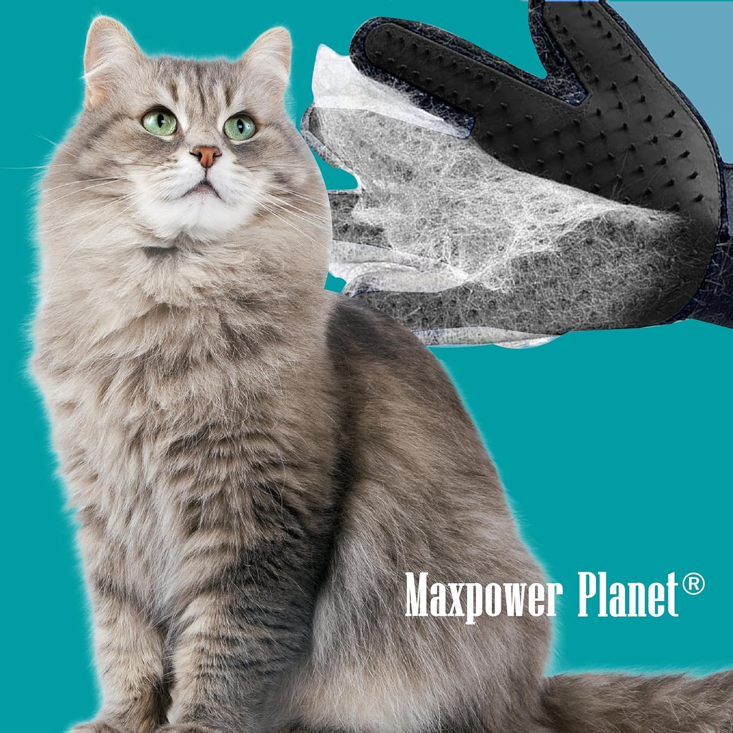 Maxpower Planet Pet Grooming Gloves for Dogs and Cats - Grooming Mitt for Dogs -Cat Gloves - Hair Removal Bruh - All Hair Types