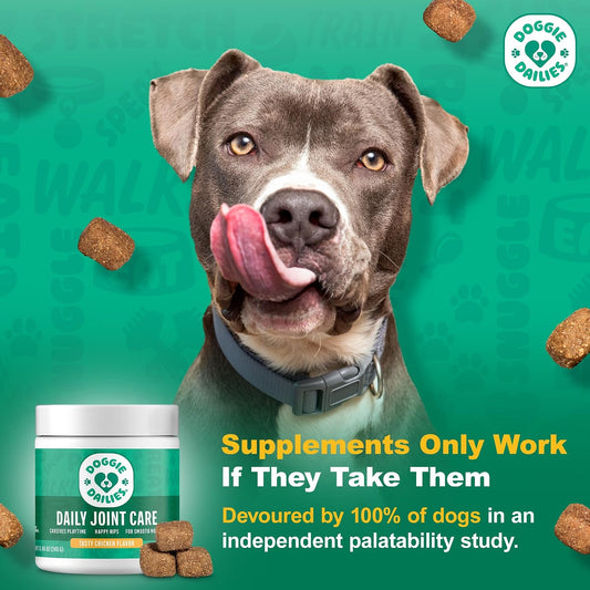 Hip & Joint Chews for Dogs, Chicken, All Breeds
