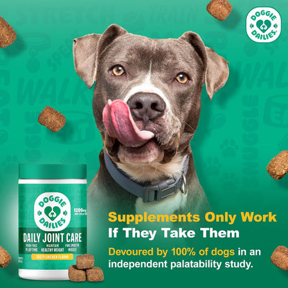 Hip & Joint Chews for Dogs, Chicken, All Breeds