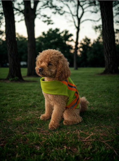 Reflective Dog Vest. High Visibility Yellow Safety Vest for Outdoors. Safeguard Your Dog with Easy to wear Adjustable and Breathable Reflective Gear (Large)