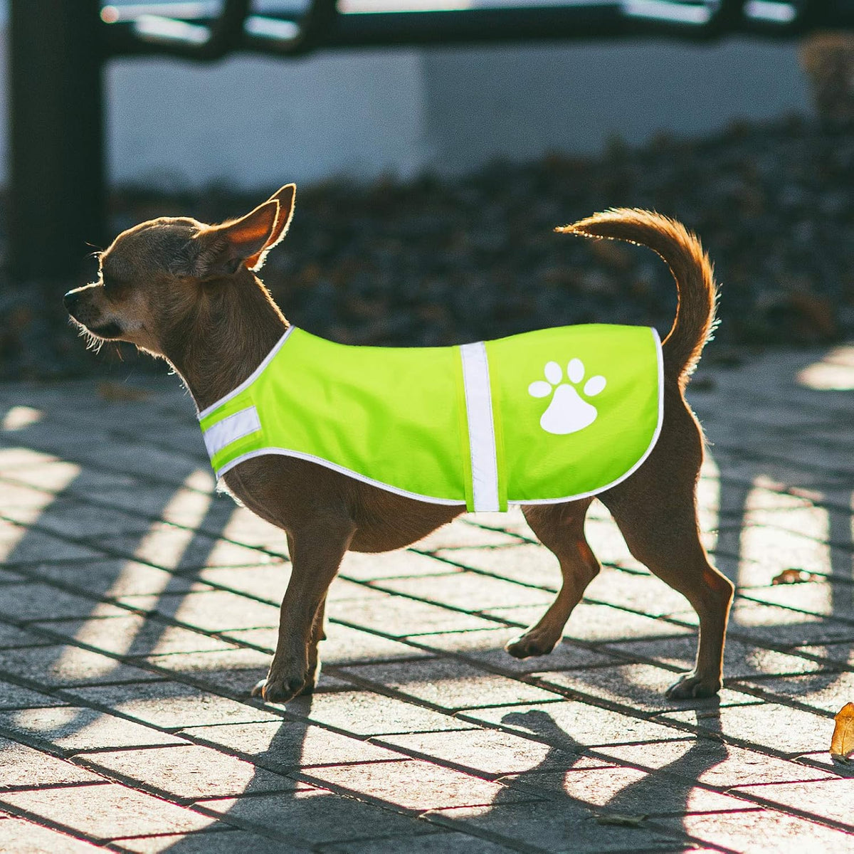 2 Pcs Reflective Dog Vest Adjustable Safety Vest,M,Orange, Yellow