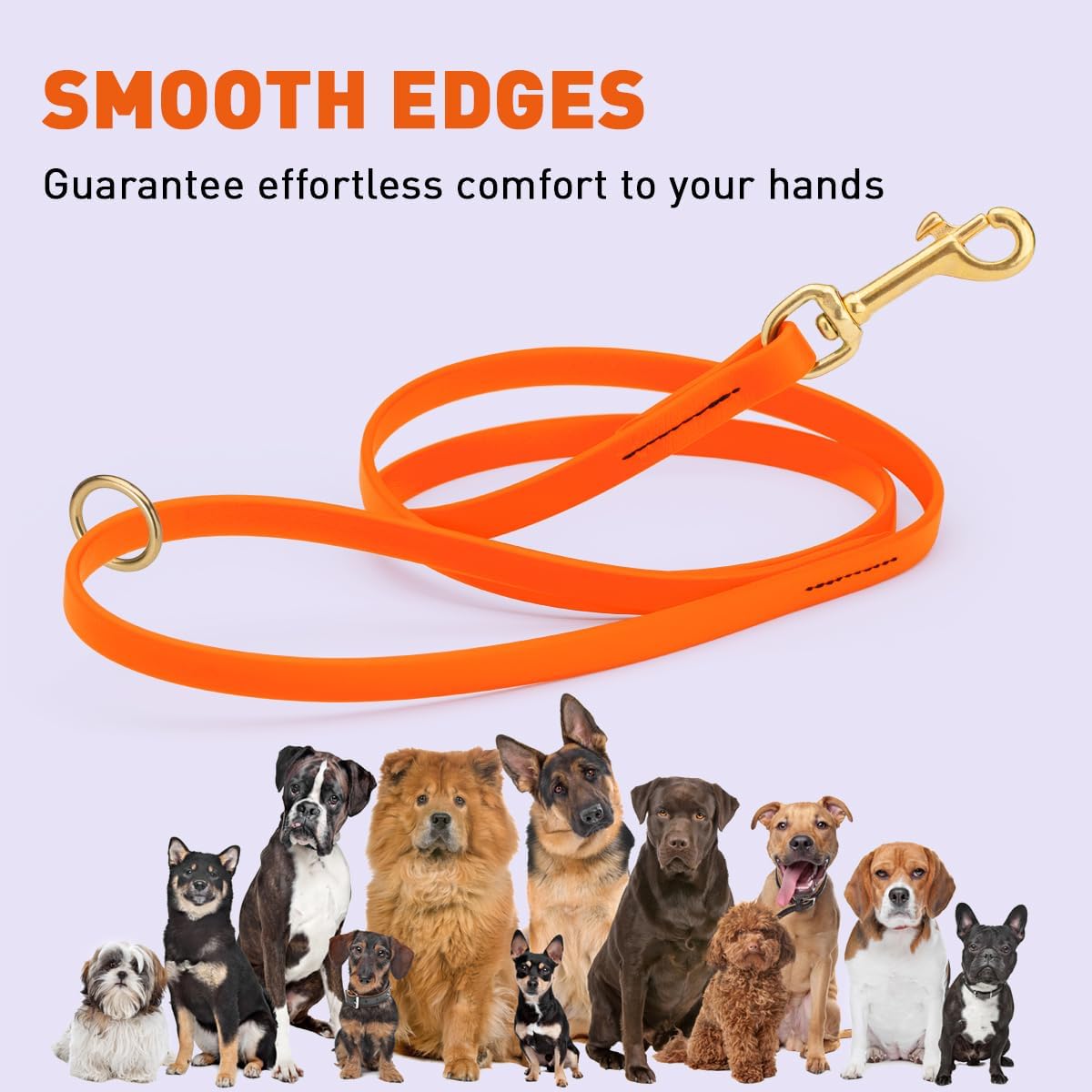 Biothane Working Lead for Dogs 6ft Black - Colors C