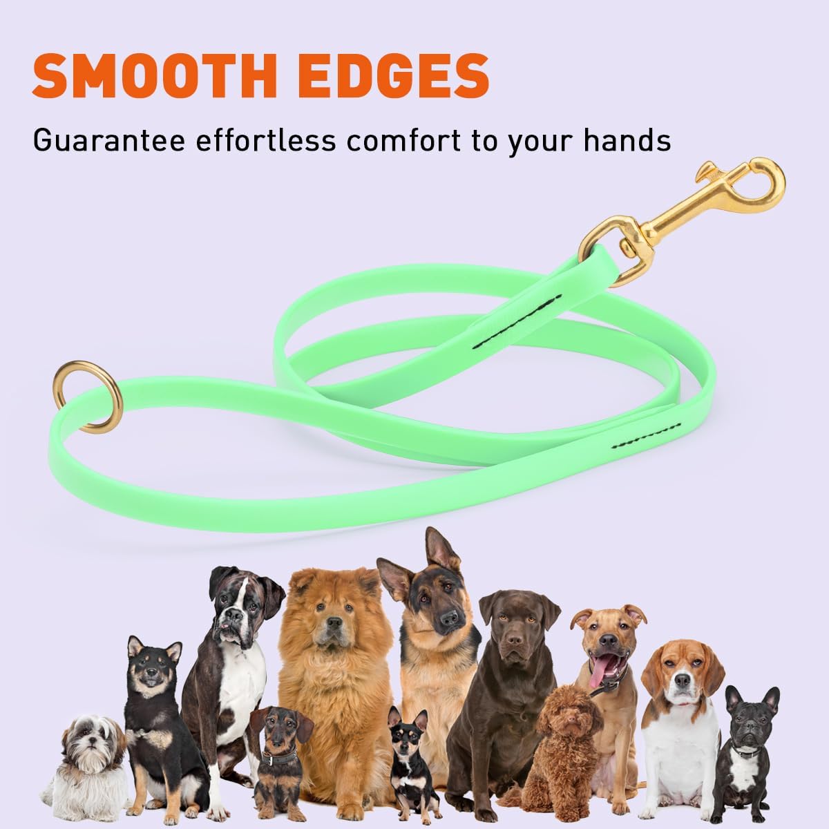 Biothane Working Lead for Dogs 6ft Black - Colors C