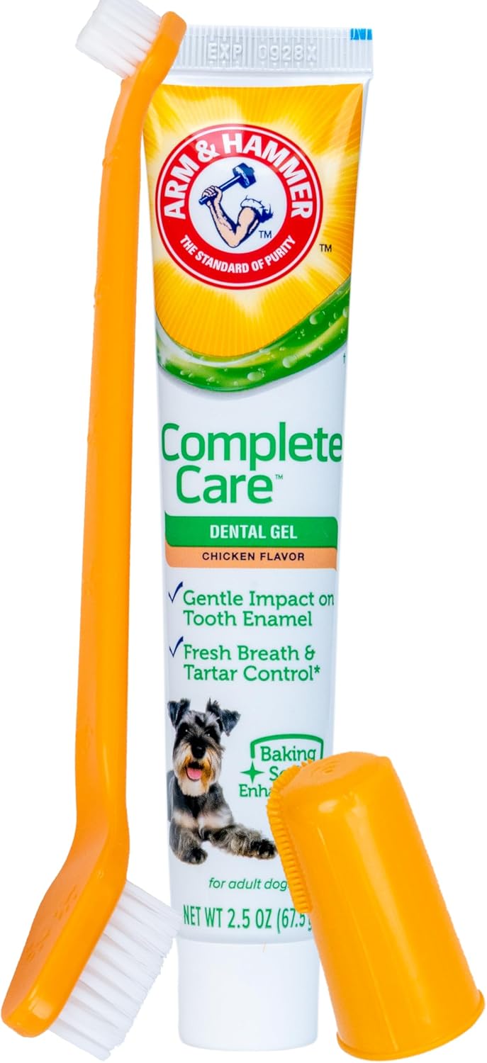 Complete Care Dental Gel Toothbrush Kit, Chicken, 3-Piece