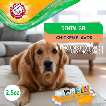 Complete Care Dental Gel Toothbrush Kit, Chicken, 3-Piece