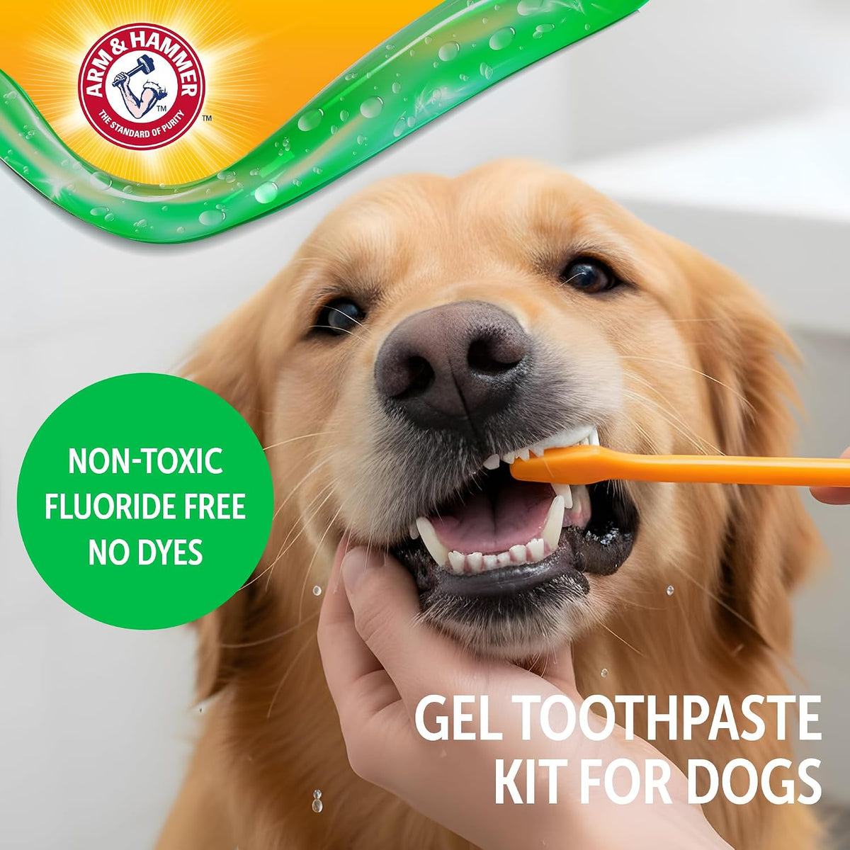 Complete Care Dental Gel Toothbrush Kit, Chicken, 3-Piece