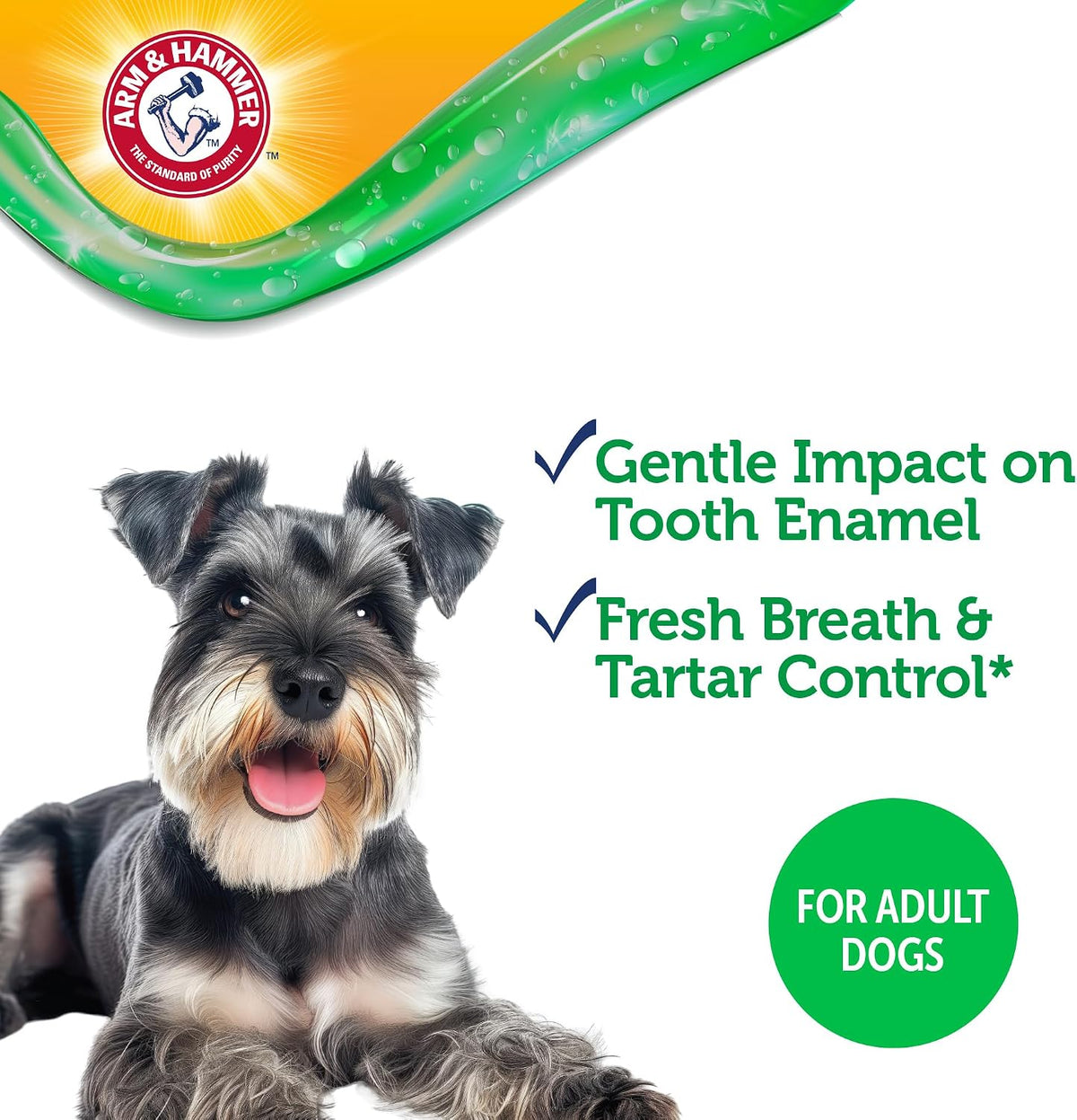Complete Care Dental Gel Toothbrush Kit, Chicken, 3-Piece