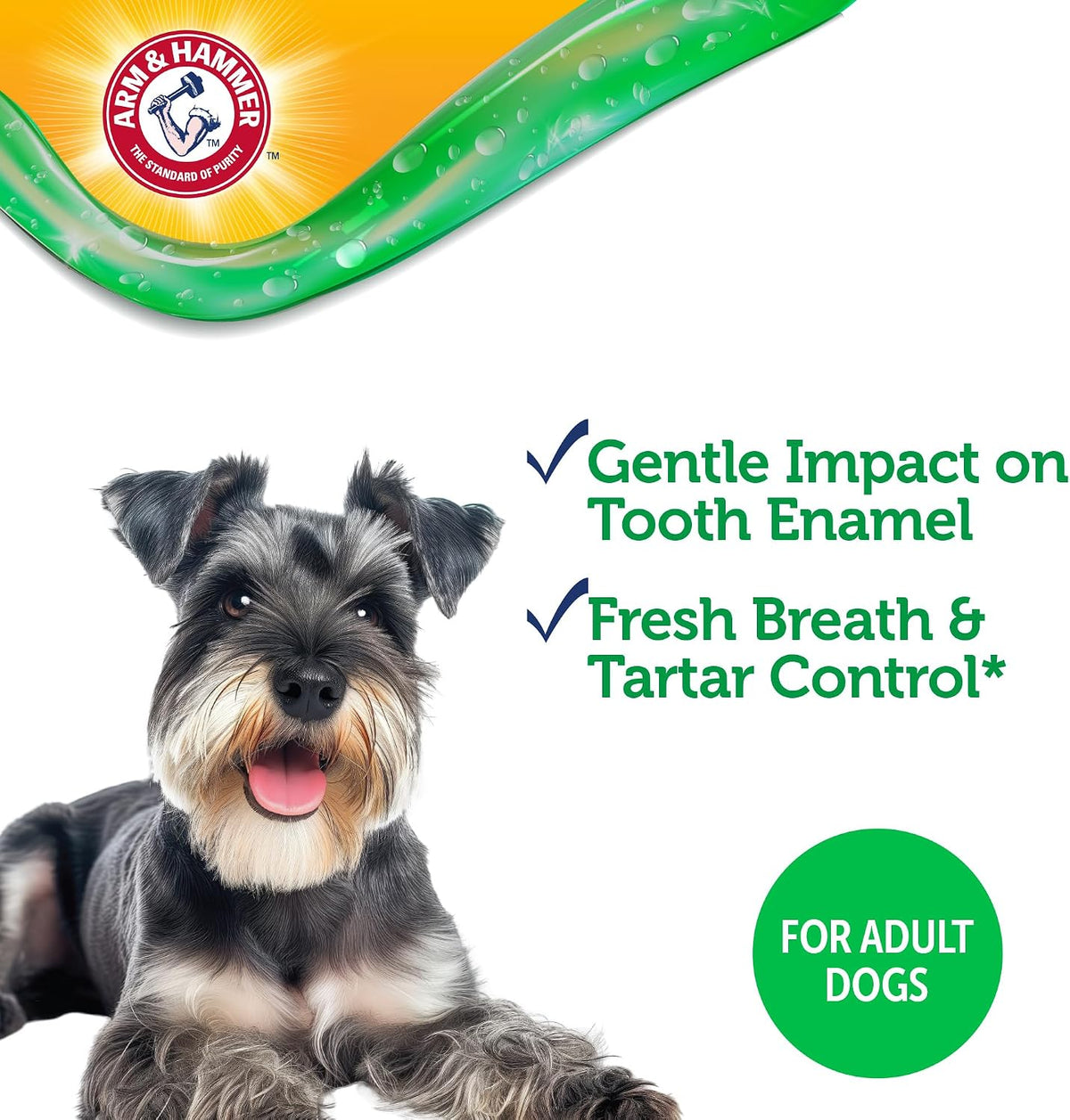 Complete Care Dental Gel Toothbrush Kit, Chicken, 3-Piece