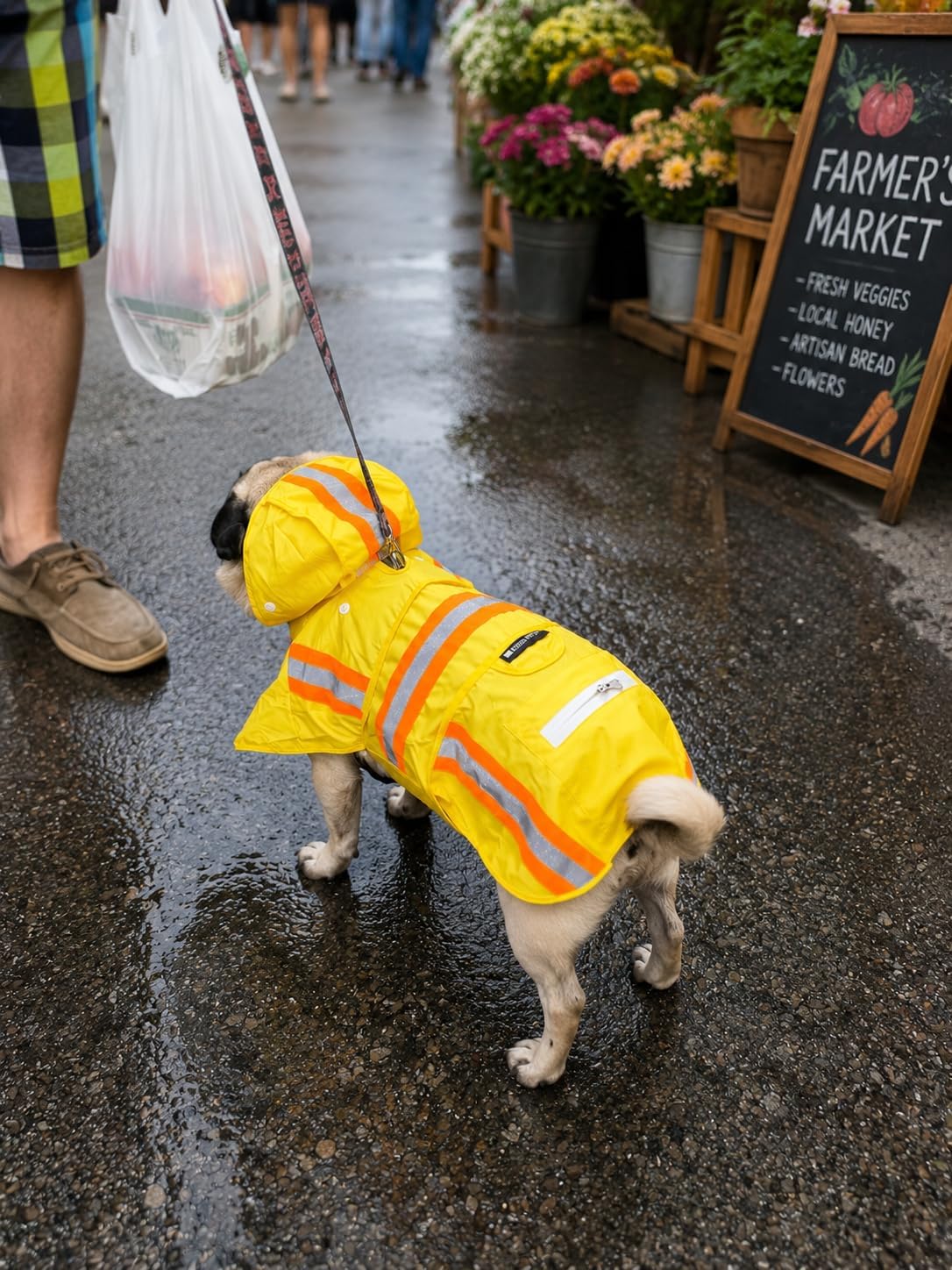 Waterproof Dog Raincoat with Two-Tone Reflective Trim, Windproof Seam-Sealed Full-Body Rain Jacket Dry Suit for XSmall to Large Dogs – Yellow (Medium)
